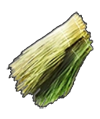 Plant Fibre